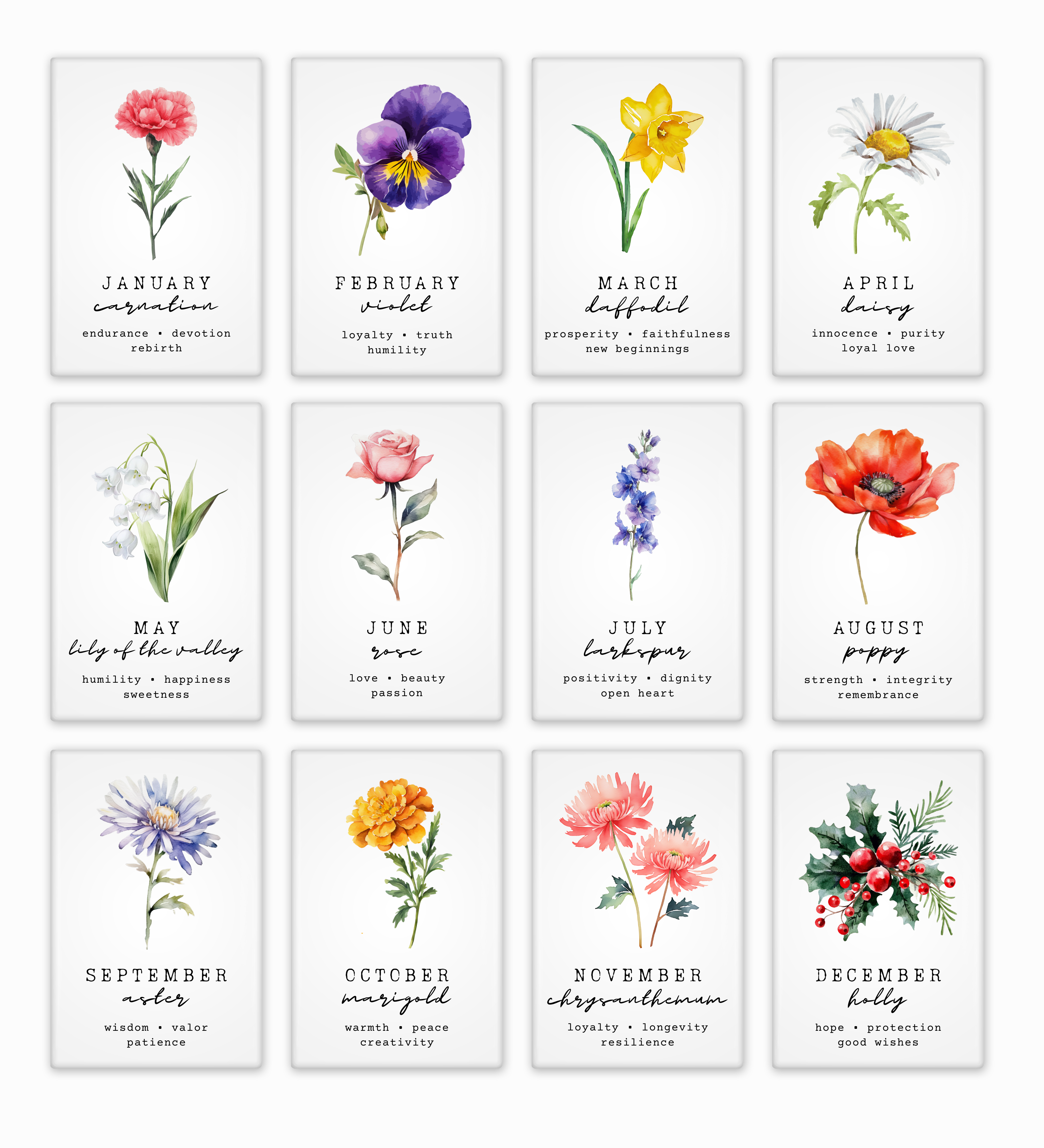 Birth Month Flowers Collection – Storyheart Magnets