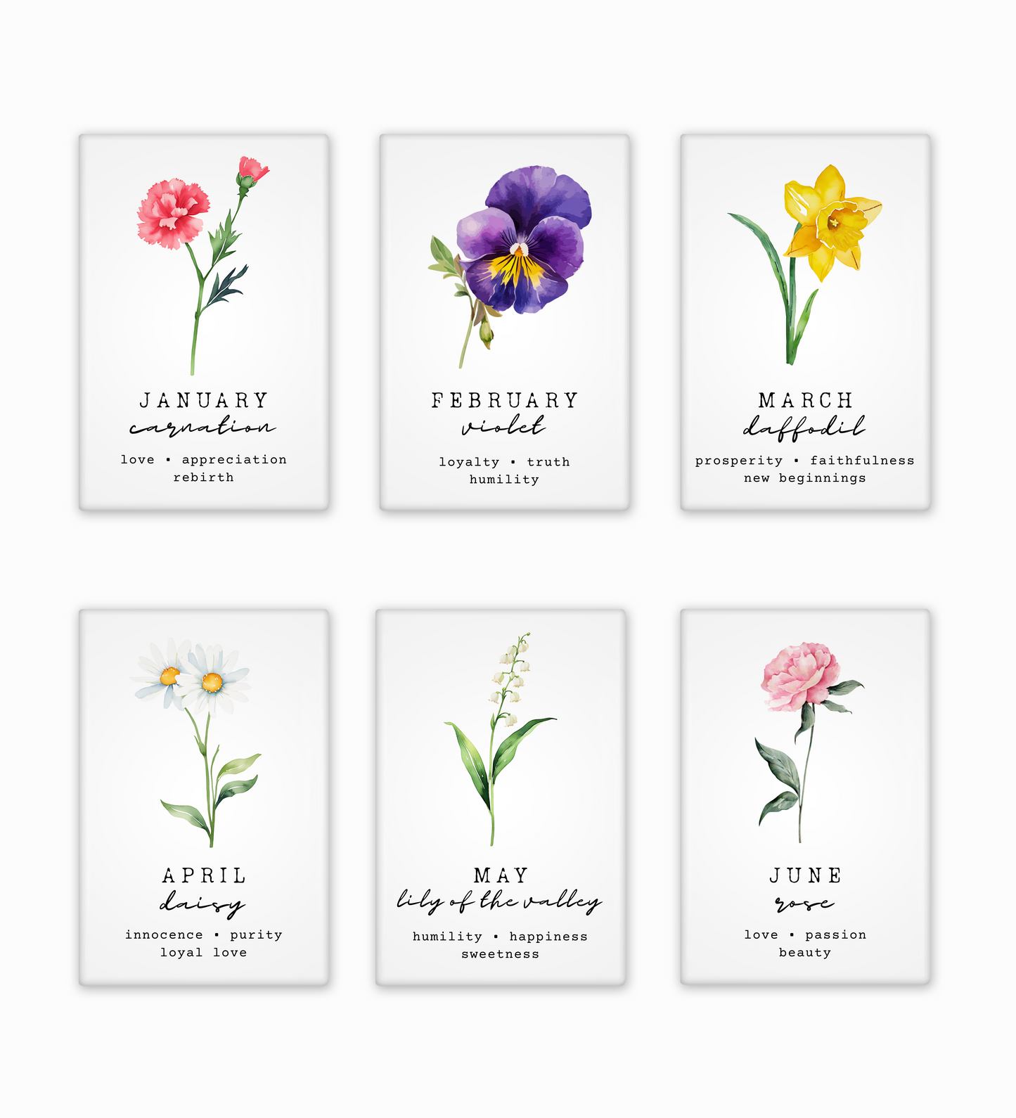 Birth Month Flowers Collection