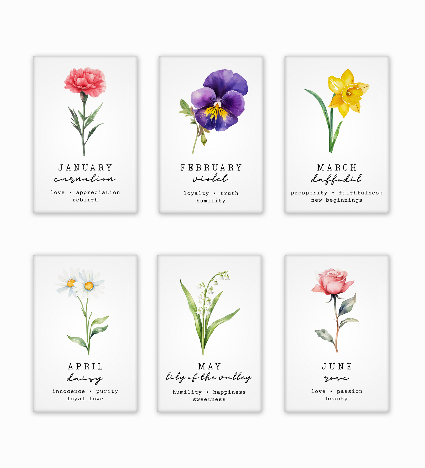 Set of six floral prints with corresponding months and meanings on a white background
