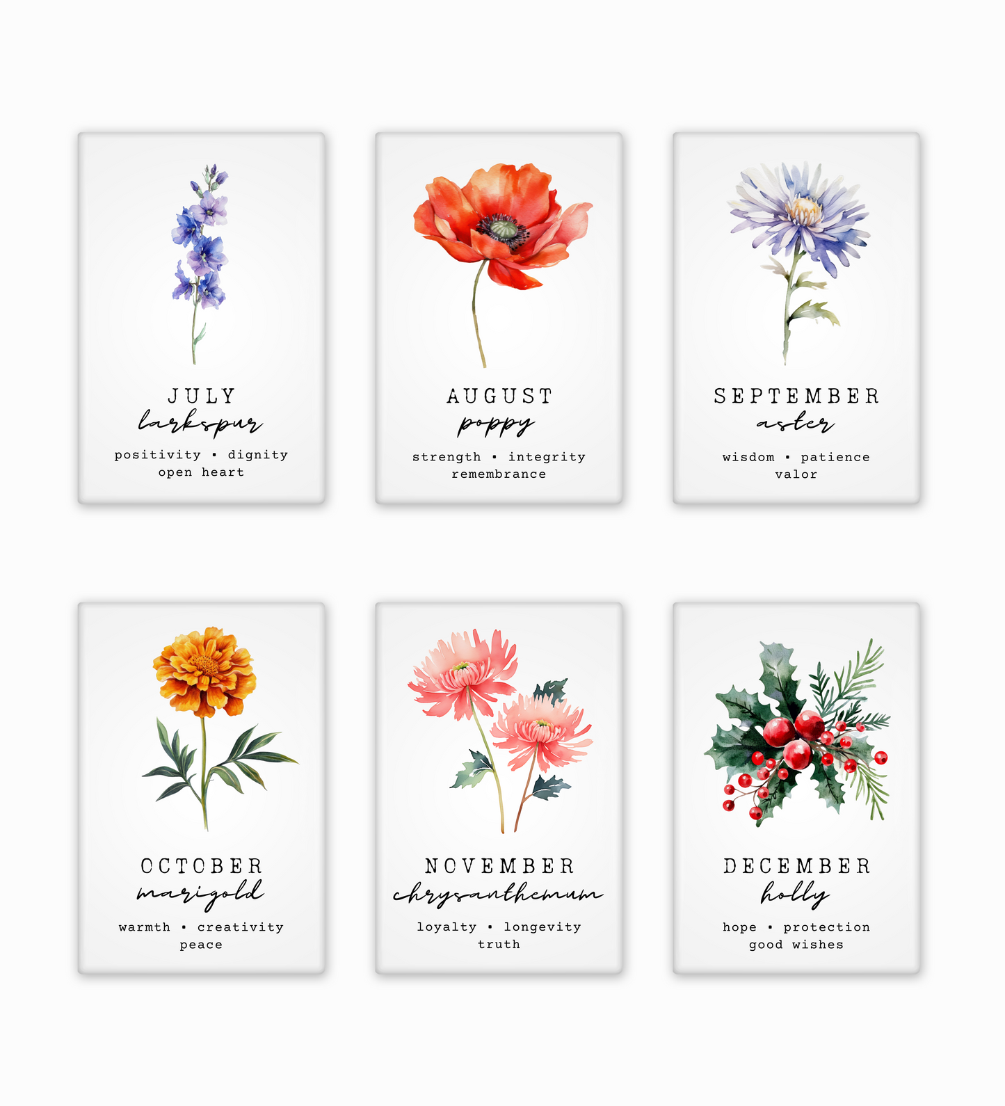 Set of six floral prints with months and meanings on a white background