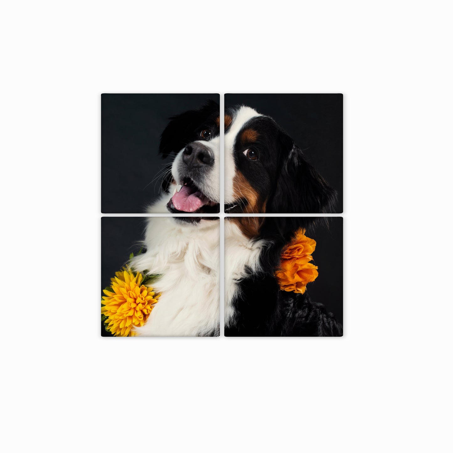 Photo Magnet Puzzles | 4, 6, or 9 Pieces