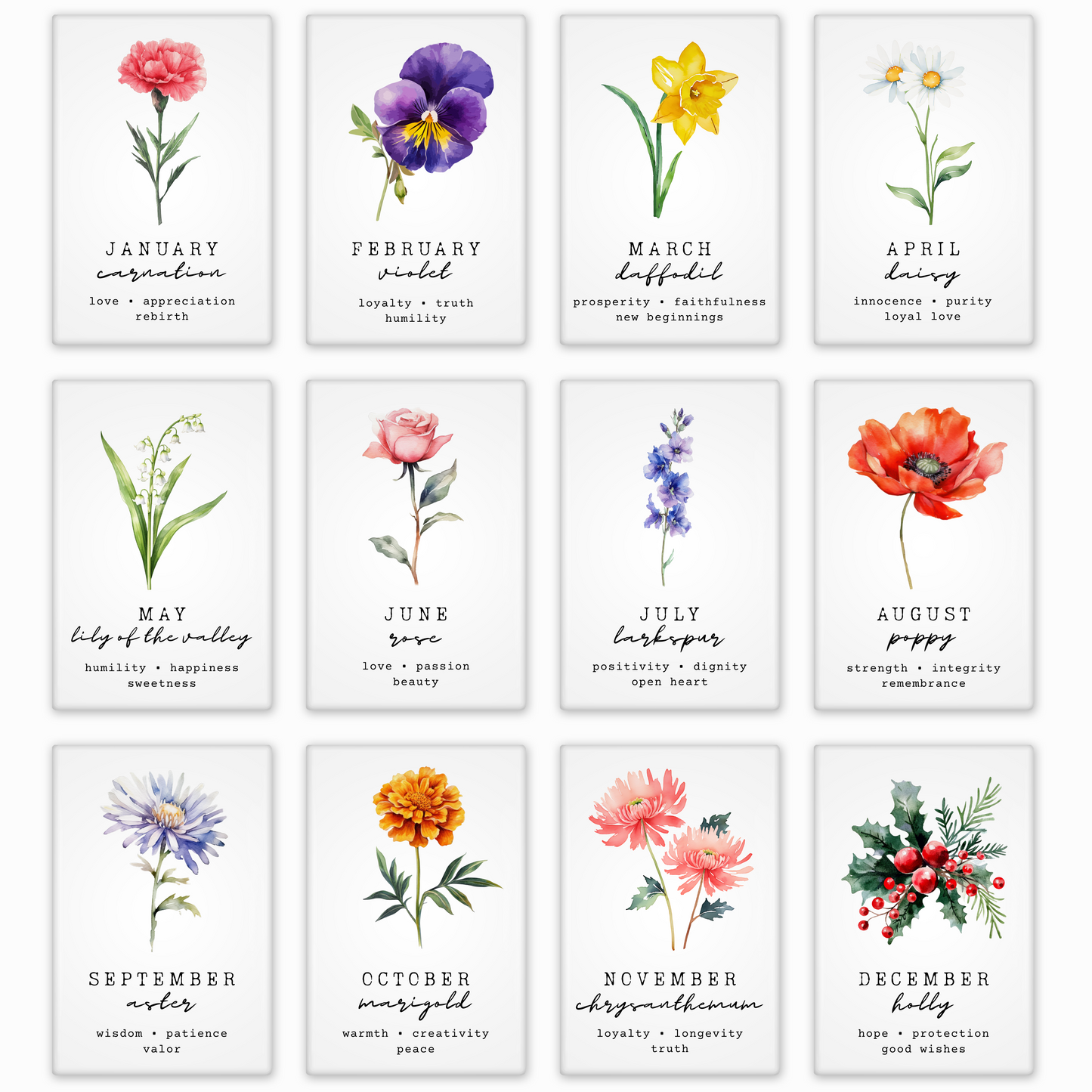 Set of 12 floral prints with corresponding months and meanings on a white background