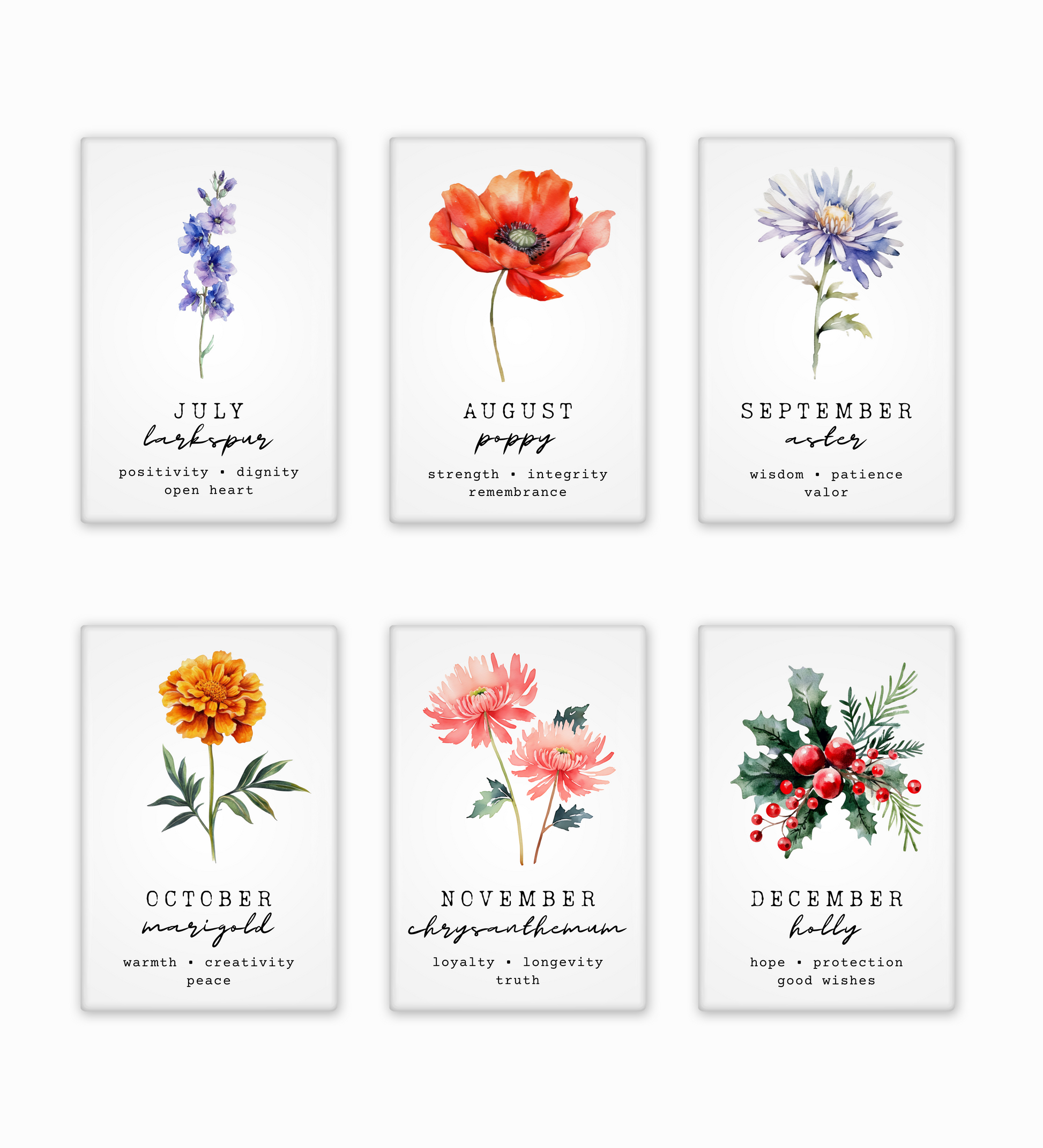 Set of six floral prints with months and meanings on a white background