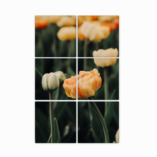 Photo Magnet Puzzles | 4, 6, or 9 Pieces